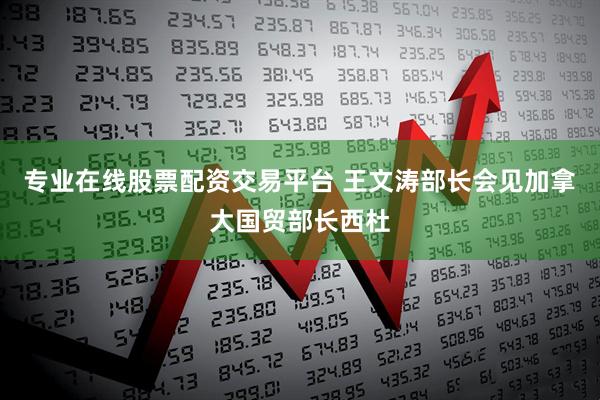专业在线股票配资交易平台 王文涛部长会见加拿大国贸部长西杜